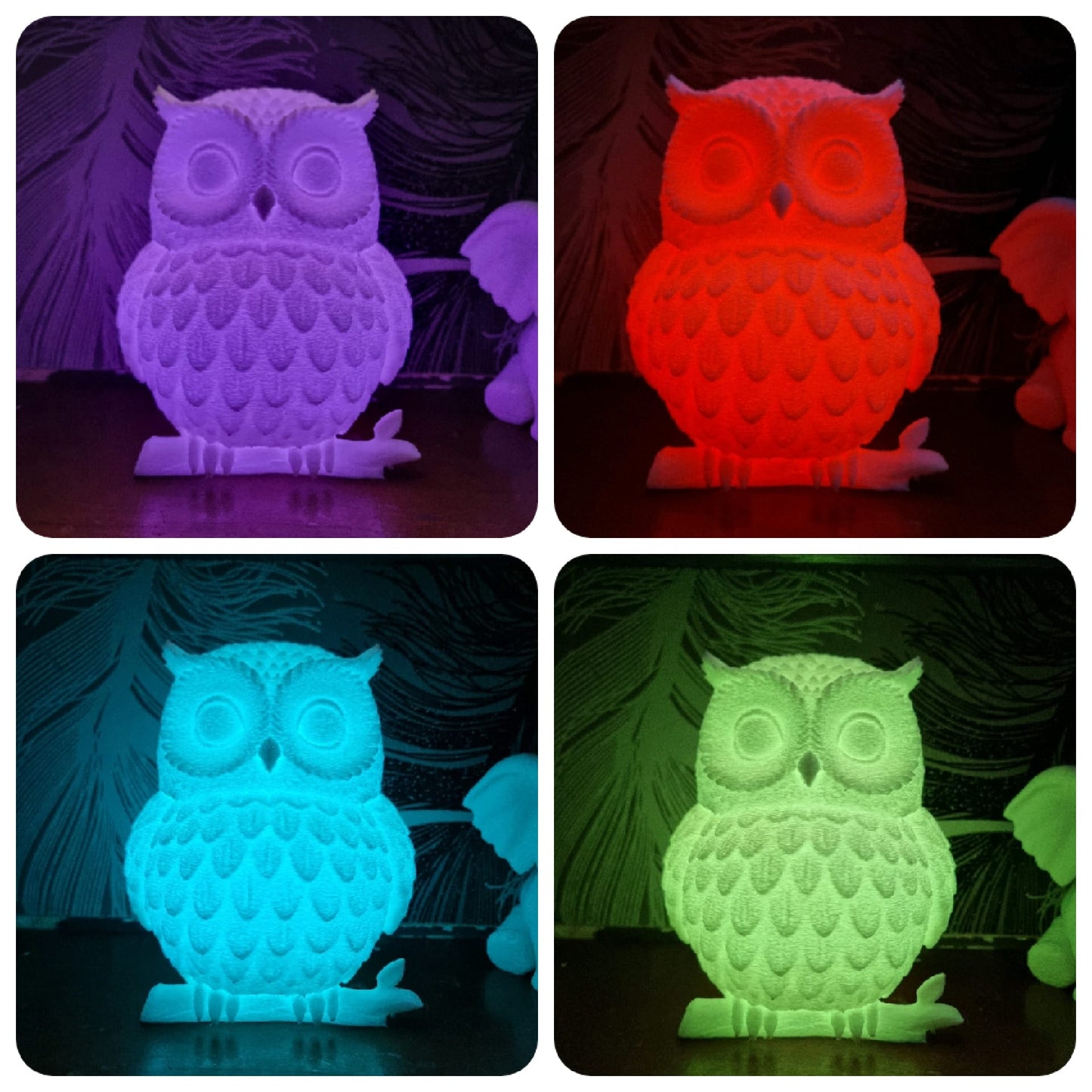Owl lantern