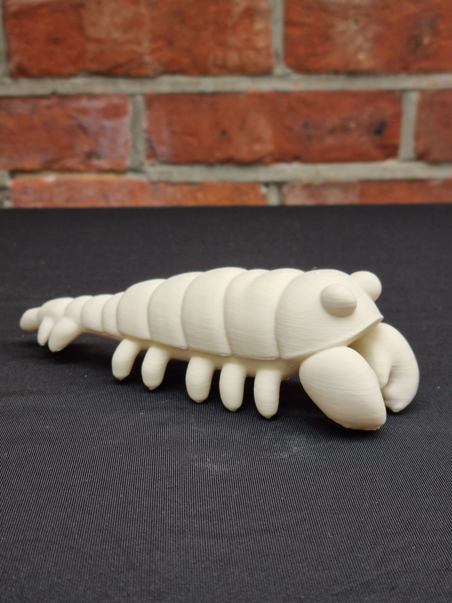 Paint your own - Mantis Shrimp