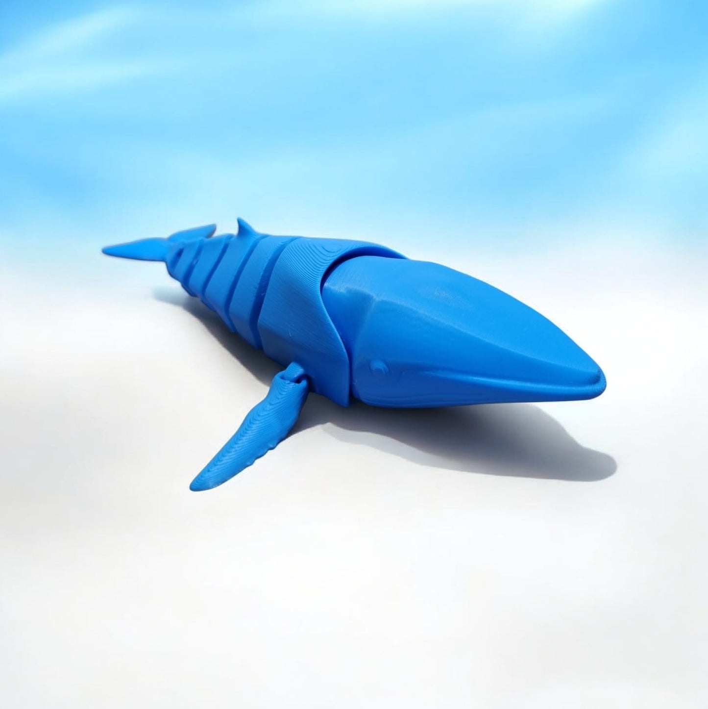 Walter Whale