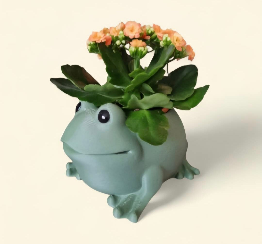 Frog planter