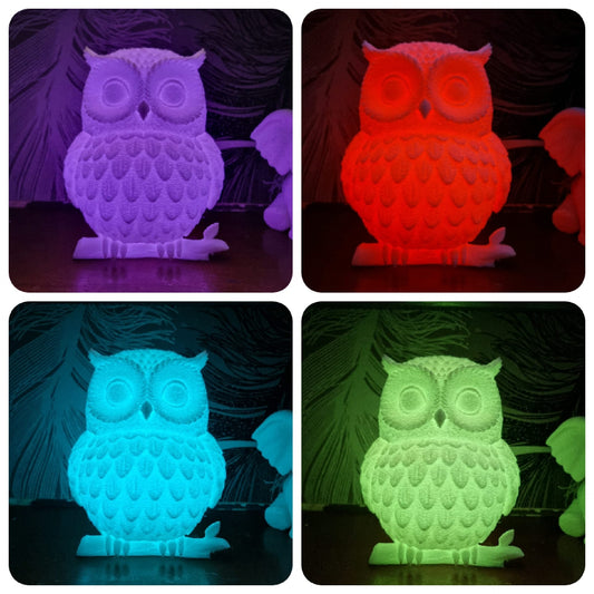 Owl lantern