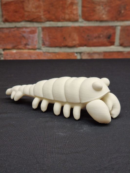 Paint your own - Mantis Shrimp