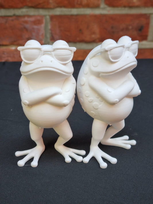 Paint your own - Cool Frog
